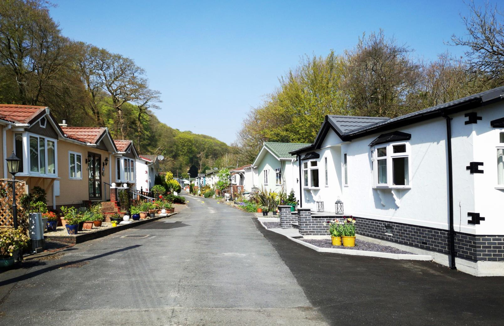 Residential street lined with small single-story homes, each with pitched roofs and potted plants outside, set against a backdrop of trees on a sunny day.